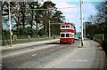 Belfast Trolleybus 197 on Falls Road - 1968