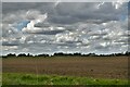 Northwold: Ploughed field