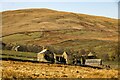 Weasdale