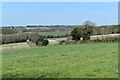 Fields southwest of Buckholt Farm