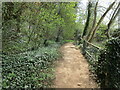 Footpath at the bottom of The Cliffs