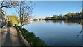 The Thames tow path towards Chiswick Bridge