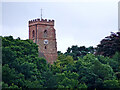 SO8480 : Tower of St Peter's Church in Cookley, Worcestershire by Roger  D Kidd