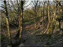 SE2037 : Old quarry in Calverley Wood by Stephen Craven