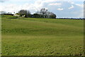 Farm buildings near Glebe Farm