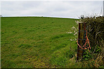 H4178 : An open field, Gortnacreagh by Kenneth  Allen