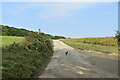 Bridleway, Footpath junction