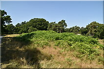 TQ3965 : West Wickham Common earthworks by N Chadwick
