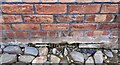 Benchmark on brick outbuilding at Townhead Farm