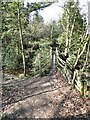 Footbridge over Langley Burn