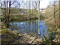 Pond on stream by Tilgate Business Centre