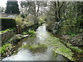 River Bure downstream of Corpusty Mill