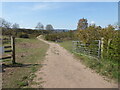 Path into Rifle Range Nature Reserve