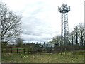 Mast near Littleton Drew