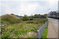 Undeveloped Site in  Hollands Rd Way