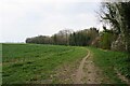 Bridleway to Roost End