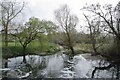 The Stour at Stoke College Mill Site