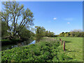 TL4452 : By the Cam at Hauxton Meadows by John Sutton