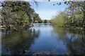 Allestree Lower Lake