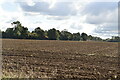 Farmland, Langley