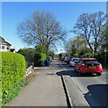 Ditton Lane: bin-day tailback