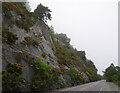 NH5531 : Rocky slopes above the A82, by Loch Ness by Craig Wallace