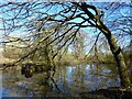 Pond, Parrock Lane