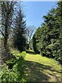 Tree-lined footpath