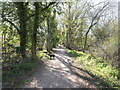 Distant Walker on Weavers Way