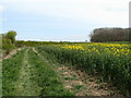 Path towards Deighton