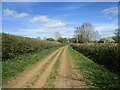 SP6574 : Byway towards Thornby by Jonathan Thacker