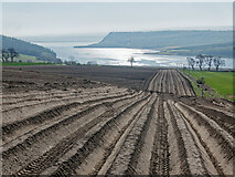 NH6454 : Potato trenches above Munlochy Bay by Julian Paren