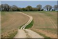 SU4171 : Track and farmland, Welford by Andrew Smith