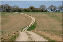 SU4171 : Track and farmland, Welford by Andrew Smith