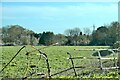 Farmland and wood