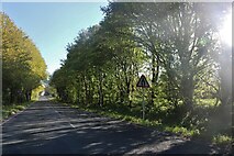 SU5135 : Basingstoke Road heading for Kings Worthy by David Howard