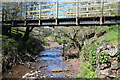 Under footbridge over the Brynich