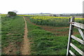 Bridleway heading for Holdenby North Lodge