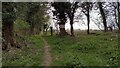 Path to Woodleys Cottages