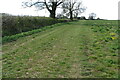 Bridleway towards Cank Farm