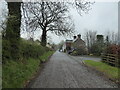 Scene in Bentlawnt village, Shropshire