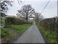 Footpath crosses a lane below Bromlow Callow