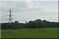 Pylon, Beechingstoke