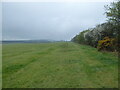 Field edge footpath