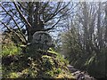 Old Wayside Cross at the entrance to Trekennick Farm, Altarnun