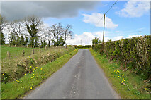 H4760 : Gargrim Road, Derrybard by Kenneth  Allen