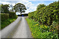 Raneese Road, Derrybard