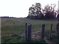 Walking the dog in fields off Watery Lane, Keresley