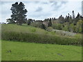 View to Leigh Manor from below