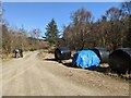 Hay bales in the forest